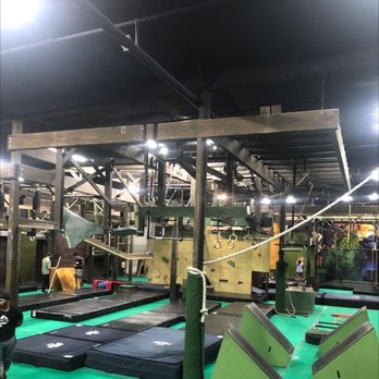 Jungle Gym - Gyms Near Me - Pinellas Park, Florida