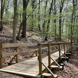 Frelinghuysen Arboretum