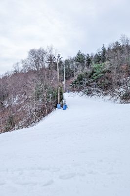 Blue Mountain Resort by null