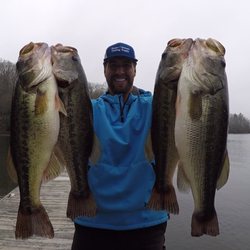 Dream Catcher's Fishing Guides & Supply