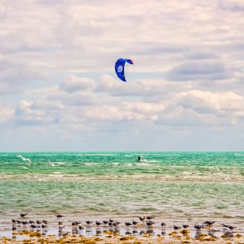 Crandon Park - Windsurfing on the greenish blue waters - Parks Near Me - Key Biscayne, Florida Crandon Park - Windsurfing on the greenish blue waters - Parks Near Me - Key Biscayne, Florida