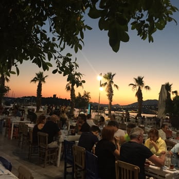 Berk Balık - Seafood Near Me - Muğla, 48 Berk Balık - Seafood Near Me - Muğla, 48