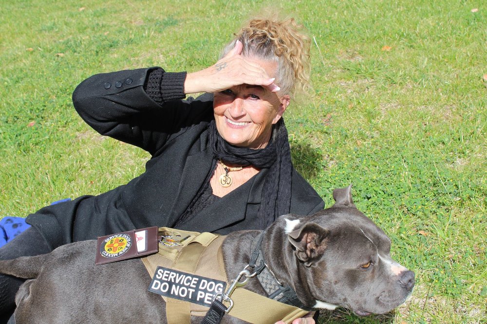 Service Dogs of New Mexico - veterans service organization in Sandia Park, NM