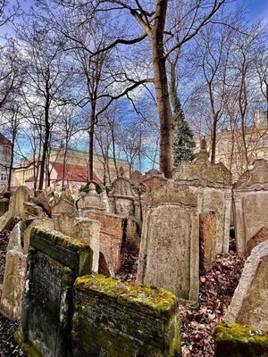 Old Jewish Cemetery by null