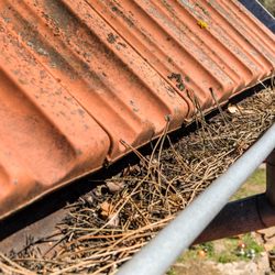 Grimes Gutter Cleaning
