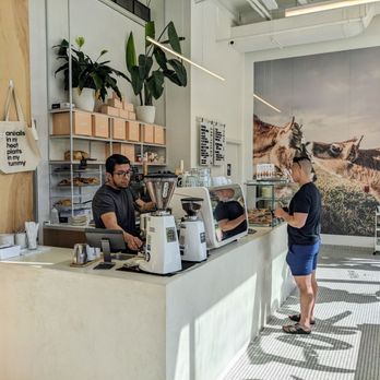 To Live For Bakery - Bakeries Near Me - Vancouver, British Columbia To Live For Bakery - Bakeries Near Me - Vancouver, British Columbia