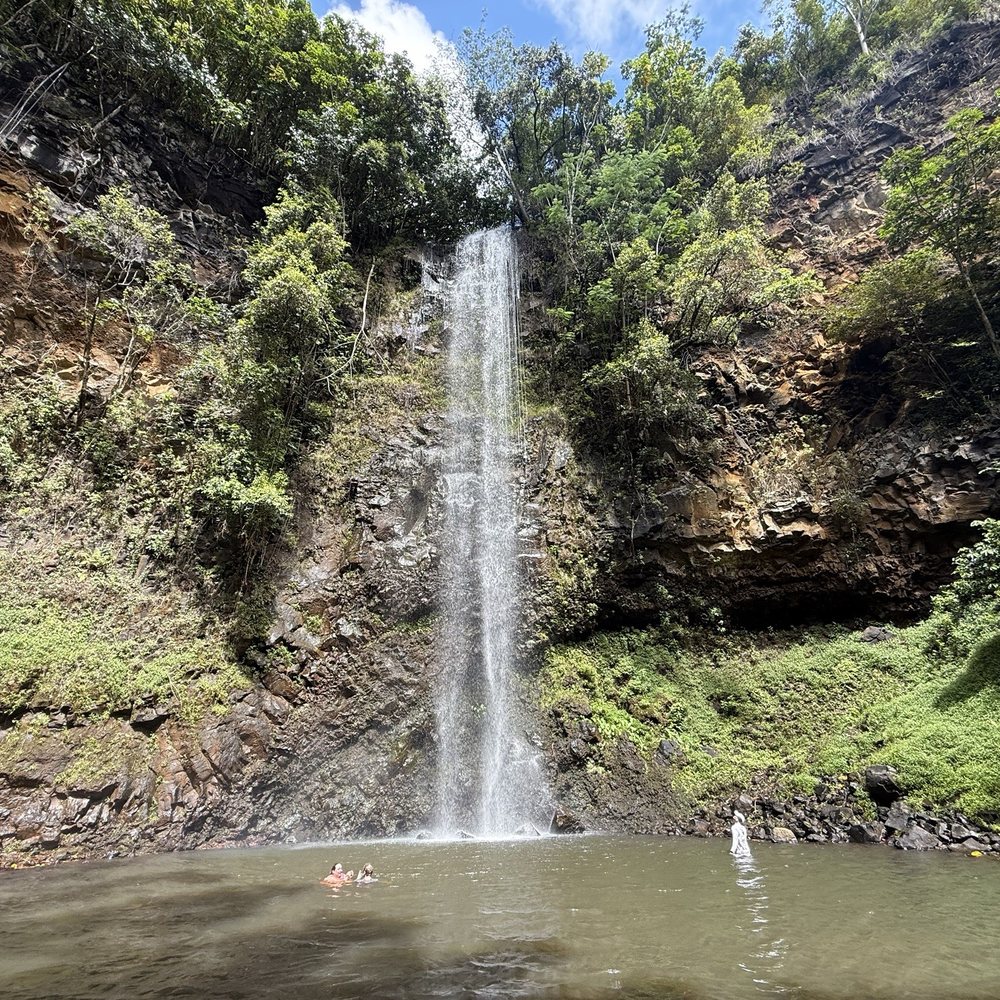 Kayak Wailua Tours - Tours Near Me - Kapaa, Hawaii