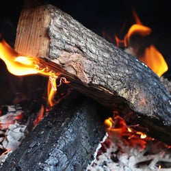 Girls Gone BBQ - Keeping the fire going.