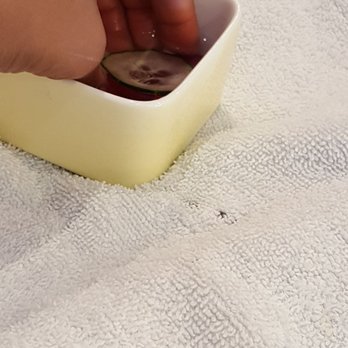 Nail Lounge - Manicure pre soak - Nail Salons Near Me - Irving, Texas Nail Lounge - Manicure pre soak - Nail Salons Near Me - Irving, Texas