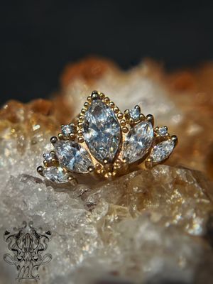 Miraculous Creations