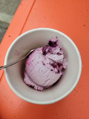 Ollie’s Ice Cream + Stuff by null