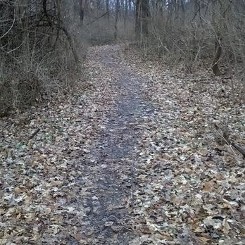 Eagle Highlands Park - leafy path can get a bit slippery - Parks Near Me - Indianapolis, Indiana