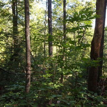 Red River Gorge - Hiking Near Me - Stanton, Kentucky