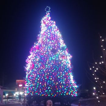 Gunnison Pizza Company - a lighted christmas tree - Pizza Near Me - Gunnison, Colorado