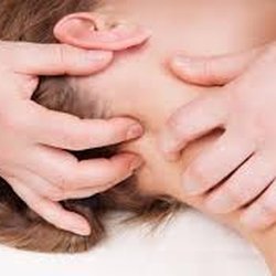 Mansfield Hollow Skincare