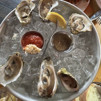 The Daily Catch - Best Oysters! - Italian Near Me - Boston, Massachusetts The Daily Catch - Best Oysters! - Italian Near Me - Boston, Massachusetts