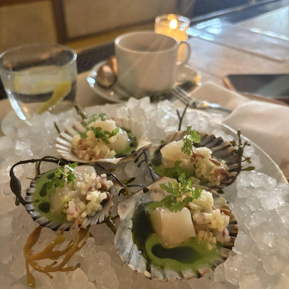 Maison Premiere - Scallop crudo - Seafood Near Me - Brooklyn, New York Maison Premiere - Scallop crudo - Seafood Near Me - Brooklyn, New York