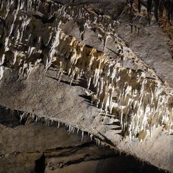 Penn's Cave & Wildlife Park