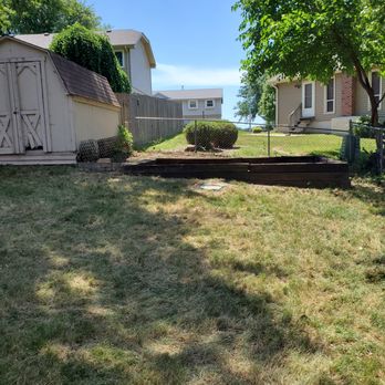 The Tree Surgeon - Locust tree gone, over-growth gone - Tree Services Near Me - Papillion, Nebraska