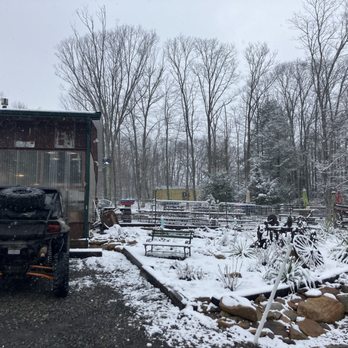 Screech Owl Brewing - outdoor seating - Breweries Near Me - Bruceton Mills, West Virginia Screech Owl Brewing - outdoor seating - Breweries Near Me - Bruceton Mills, West Virginia