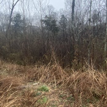 Jenkins-Gibbs Nature Trail - Start of trail - Hiking Near Me