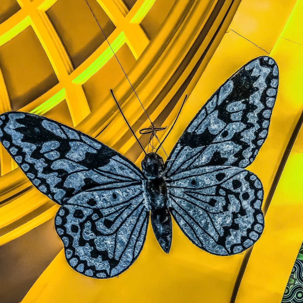 Bellagio - "When the spirit of nature touches us, our hearts turn into a butterfly!" - Hotels Near Me - Las Vegas, Nevada