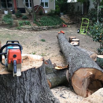 Restoration Tree Care - Tree Services Near Me Restoration Tree Care - Tree Services Near Me