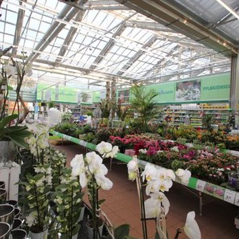 hagebaumarkt - hagebaumarkt_Moelders_Adendorf_Floraland_Gruenpflanzen_Orchideen_Erde_Duenger_Toepfe - Building Supplies Near Me - Adendorf, NI