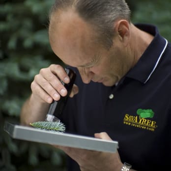 SavATree Mountainside - Plant Health Care - Tree Services Near Me - Mountainside, New Jersey