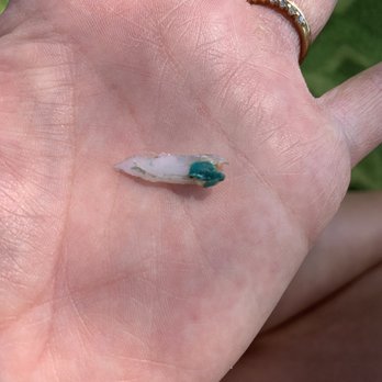 Potbelly - Plastic found in Powerhouse Salad - Sandwiches Near Me - Castle Rock, Colorado Potbelly - Plastic found in Powerhouse Salad - Sandwiches Near Me - Castle Rock, Colorado