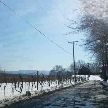 Benmarl Winery - So pretty! - Wineries Near Me - Marlboro, New York