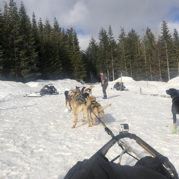 Blackcomb Snowmobiles - Tours Near Me - Whistler, British Columbia