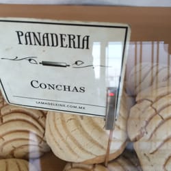 La Madeleine - Conchas