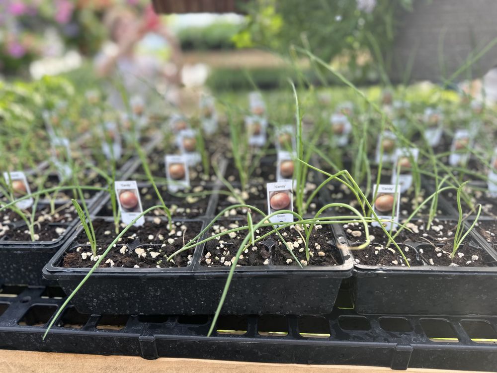 MARY JO’S GREENHOUSE LEGACY Updated August 2024 21 Photos 1500