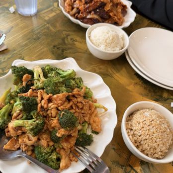 Jin Jin Hong Kong Cafe - Chicken broccoli & chicken eggplant - Chinese Near Me - Brooklyn, New York Jin Jin Hong Kong Cafe - Chicken broccoli & chicken eggplant - Chinese Near Me - Brooklyn, New York
