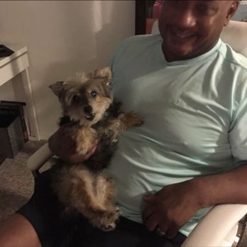 Gentle Pet Passings - This is Winnie at 16 SIXTEEN years old....so happy with her dad. - Veterinarians Near Me Gentle Pet Passings - This is Winnie at 16 SIXTEEN years old....so happy with her dad. - Veterinarians Near Me