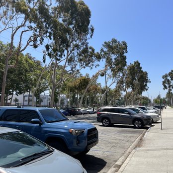 Petco - Parking - Pet Stores Near Me - Lakewood, California Petco - Parking - Pet Stores Near Me - Lakewood, California