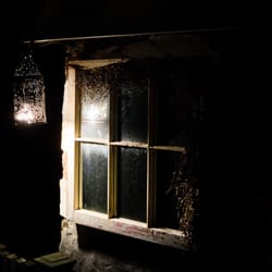 Wild Wisteria Bed and Breakfast - Charming historical house