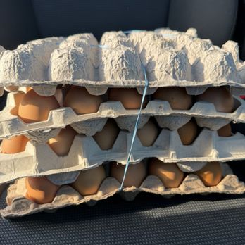 Maust's California Poultry - My weekly purchase of kelp fed chicken eggs! - Farms Near Me - Chino, California Maust's California Poultry - My weekly purchase of kelp fed chicken eggs! - Farms Near Me - Chino, California