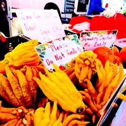 No Fondling. [The me 2 fruits :) ]