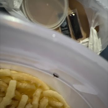China Town West - I tried to give this place another try and there is a ant in my soup and now they are closed - Chinese Near Me - Miami, Florida China Town West - I tried to give this place another try and there is a ant in my soup and now they are closed - Chinese Near Me - Miami, Florida