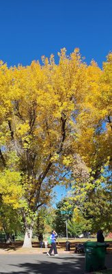 Riverside Farmers' Market by null