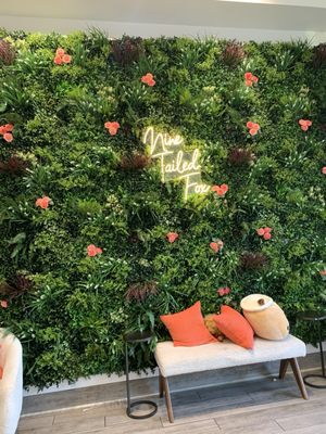 Sharetea - Orinda by null