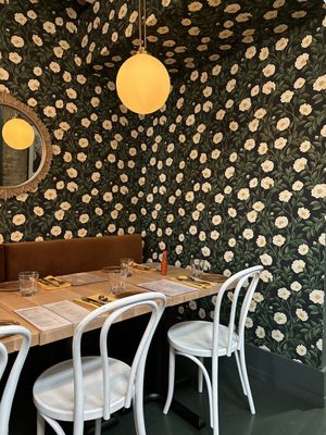 Nolia Kitchen by null