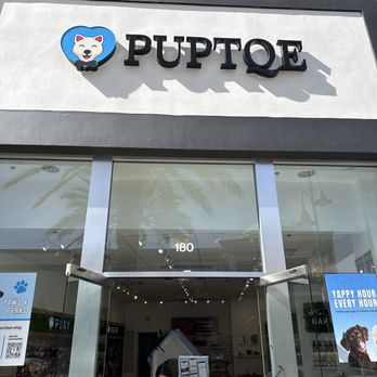Puptqe - Pet Stores Near Me - Temecula, California