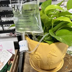 Grant's Creek Nursery - Cool water device for plants!!