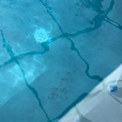 B M Wemple Pools
