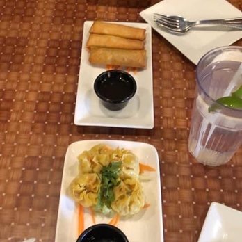 Thai Spice - Top down: Spicy pork sausage, Spring rolls, Dumpling - Thai Near Me - Bel Air, Maryland