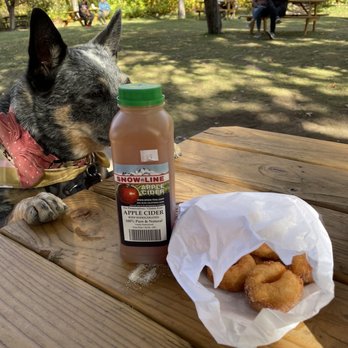Snow-Line Orchard - Apple cider, apple cider donuts IG: @bobabitchess - Fruits & Veggies Near Me - Oak Glen, California Snow-Line Orchard - Apple cider, apple cider donuts IG: @bobabitchess - Fruits & Veggies Near Me - Oak Glen, California