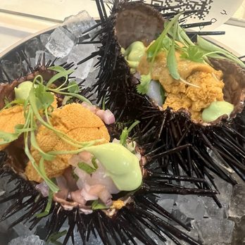 Holbox - Scallop Ceviche with Uni - Latin American Near Me - Los Angeles, California Holbox - Scallop Ceviche with Uni - Latin American Near Me - Los Angeles, California